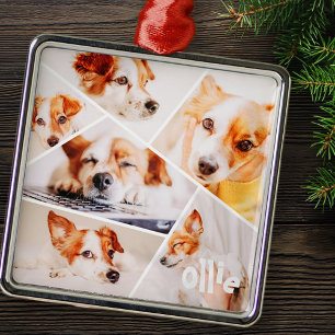 Ornement Carré Argenté Animaux de compagnie Moderne Simple Personnalisé 6