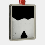 Ornement Carré Argenté Apollo 17 panorama assemblé 2 (Droite)