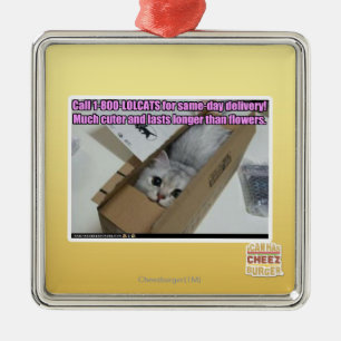 Ornement Carré Argenté Appel 1-800-LOLCATS