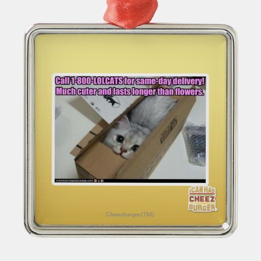 Ornement Carré Argenté Appel 1-800-LOLCATS (Devant)