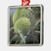 Ornement Carré Argenté Arbre de châtaigne (Gauche)