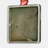 Ornement Carré Argenté Argentine (Gauche)