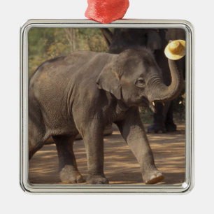 Ornement Carré Argenté Asie, Thaïlande, Lampang Bowing avec casquette - T