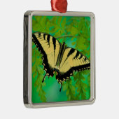 Ornement Carré Argenté Atterrissage de papillon à queue noire (Droite)