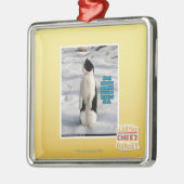 Ornement Carré Argenté Augmenté par des pingouins (Gauche)