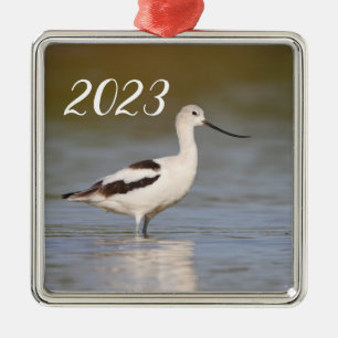 Ornement Carré Argenté Avocet américain blanc