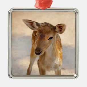 Ornement Carré Argenté Baby Deer