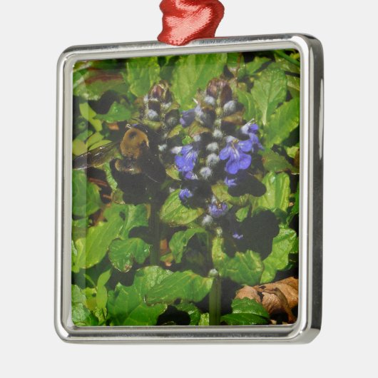 Ornement Carré Argenté Baume d'abeille pourpre et bourdon (Gauche)