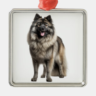 ORNEMENT CARRÉ ARGENTÉ BEAU CHIEN À POULET FLUFY KEESHOND