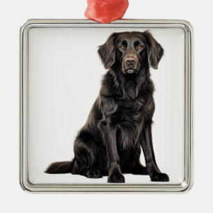 ORNEMENT CARRÉ ARGENTÉ BEAU CHIEN DE RÉCUPÉRATION NOIR PLAT