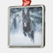 Ornement Carré Argenté Berger allemand noir dans la couverture de duvet d (Gauche)