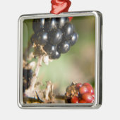 Ornement Carré Argenté Berries d'automne (Gauche)