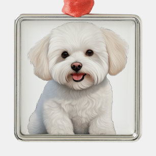 ORNEMENT CARRÉ ARGENTÉ BIEN BLANC CURLY BICHON FRISE PUPPY CHIEN