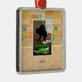 Ornement Carré Argenté Bison de sofa (Droite)