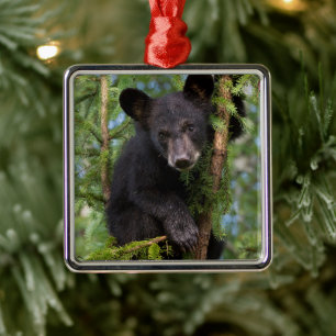 Ornement Carré Argenté Black Bear Cub Jouer dans les arbres