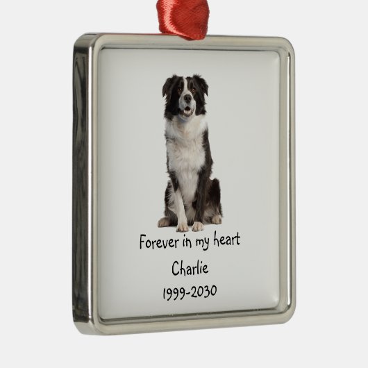 Ornement Carré Argenté Bordure Collie Chien Photo Memorial Keepsaké (Droite)