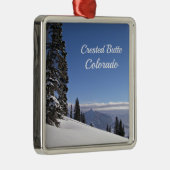 Ornement Carré Argenté Bouton de museau, CO (Droite)