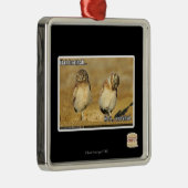 Ornement Carré Argenté Brothah d'heure-milliampère (Droite)