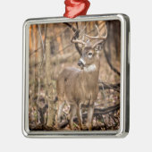 Ornement Carré Argenté Buck de cerf à queue blanche (Gauche)