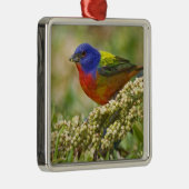 Ornement Carré Argenté Bunting peint (Droite)