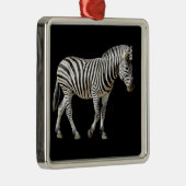 Ornement Carré Argenté Burchell Zebra isolé (Droite)