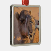 Ornement Carré Argenté Camel avec une drôle d'expression faciale - Oman (Droite)