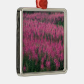 Ornement Carré Argenté Canada, Québec, Gaspe. Fleurs de Lythrum violet, (Droite)