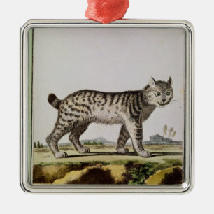 Ornement Carré Argenté Canadien Lynx