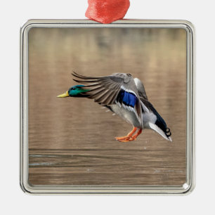 Ornement Carré Argenté Canard colvert en vol