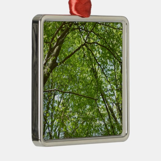 Ornement Carré Argenté Canopée du printemps Feuille Green Nature Scene (Droite)