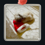 Ornement Carré Argenté Captured Santa<br><div class="desc">Oups ! Fais que Père Noël Casquette ! Eh bien, il a failli "l'avoir" ! Personnalisez ce design Pekingese avec notre outil de texte, ajoutez des couleurs arrière - plans facilement, faites-le vous-même ! Venez visiter notre Maggie Ross Pekingese Shop pour voir de nombreux designs saisonniers créés à partir de mon...</div>