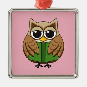 Ornement Carré Argenté Caricature du livre de lecture de la Chouette