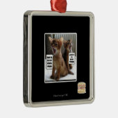 Ornement Carré Argenté Carolans de Kitteh (Droite)