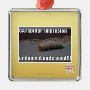 Ornement Carré Argenté CATapillar