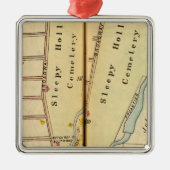 Ornement Carré Argenté Cavité somnolente, New York (Devant)