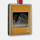 Ornement Carré Argenté champ de force de nom (Droite)