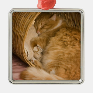 Ornement Carré Argenté Chat tigré orange dormant dans un panier
