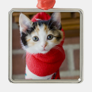 Ornement Carré Argenté Chaton rouge de Noël