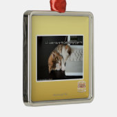 Ornement Carré Argenté Chats de Lol avec USB (Droite)