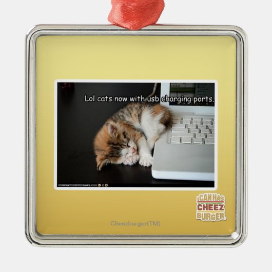 Ornement Carré Argenté Chats de Lol avec USB (Devant)