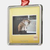 Ornement Carré Argenté Chats de Lol avec USB (Gauche)