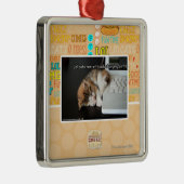 Ornement Carré Argenté Chats de Lol avec USB (Droite)