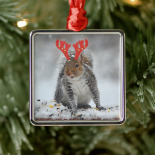 Ornement Carré Argenté Cheery Squirrel With Antlers Square Ornament