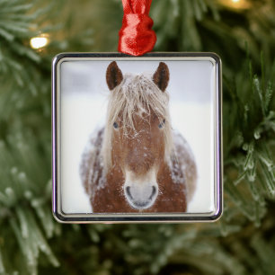 Ornement Carré Argenté Cheval Brown debout en terrain neigeux.