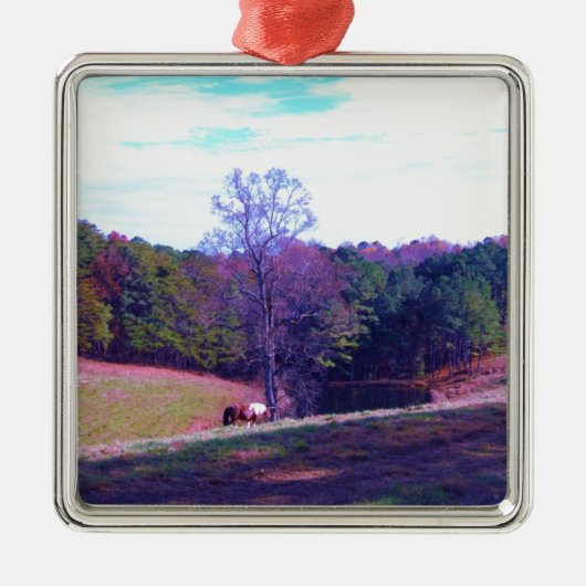 Ornement Carré Argenté Cheval éloigné dans un champ violet (Devant)