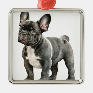 ORNEMENT CARRÉ ARGENTÉ CHIEN BOULEDOGUE FRANÇAIS MIGNON NOIR & BLANC