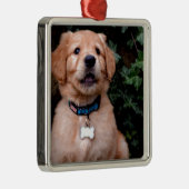 Ornement Carré Argenté Chien chiot mignon Golden Retriever Chien (Droite)