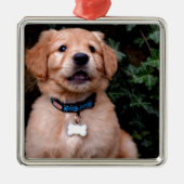 Ornement Carré Argenté Chien chiot mignon Golden Retriever Chien (Devant)