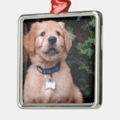 Ornement Carré Argenté Chien chiot mignon Golden Retriever Chien (Gauche)