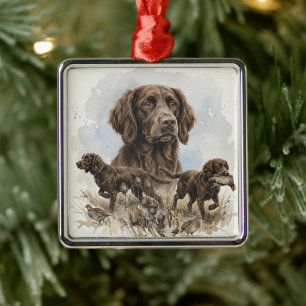 Ornement Carré Argenté Chien de chasse Deutsch Langhaar